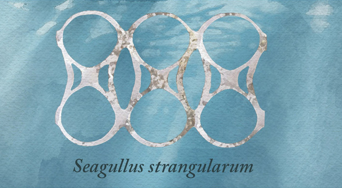 Death by Six-Pack Plastic Rings