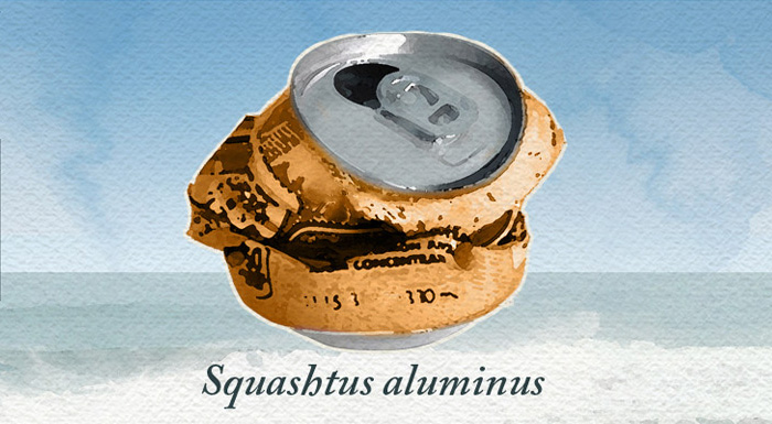 aluminum beverage can