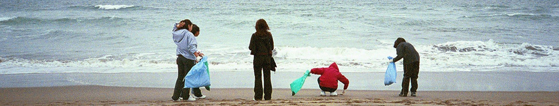 People at a beach cleanup facing the ocean