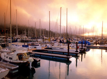 Marina in the fog