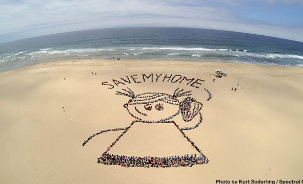 Aerial art formation at Kids Ocean Day 2013 in Huntington Beach