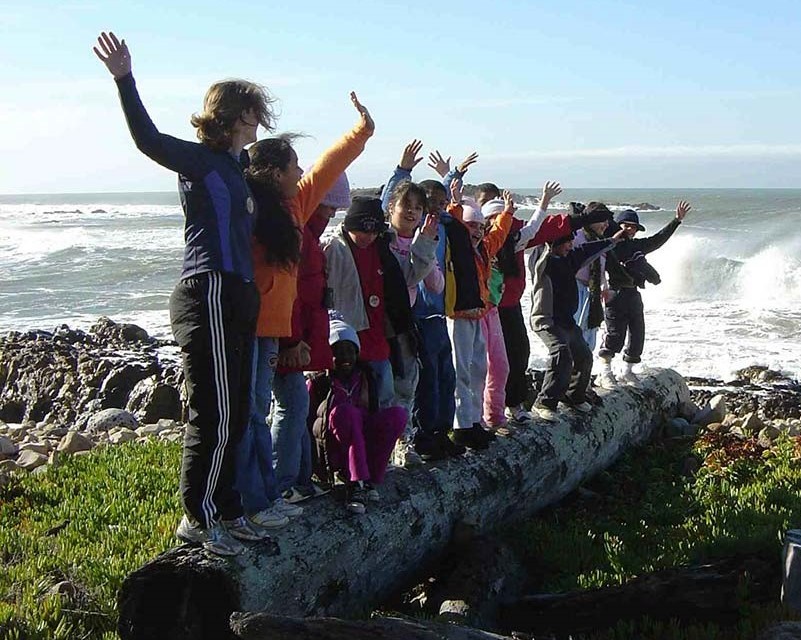 Kids and an adult leader stand on a log, arms held high, in front of the ocean