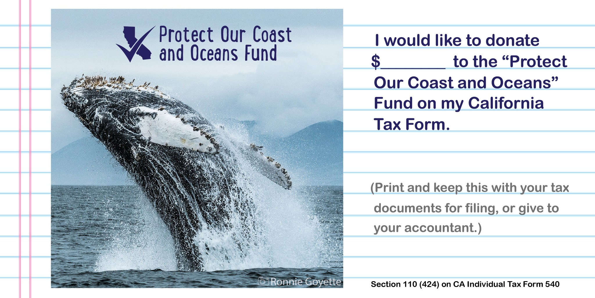 Printable reminder sheet 
									with text stating, I would like to donate fill-in-the-blank $ to the Protect Our Coast & Oceans Fund on my 
									California State Tax Form. Print and keep this with your tax document for filing or give to your accountant. 
									Section 110, 424, on CA Individual Tax Form 540