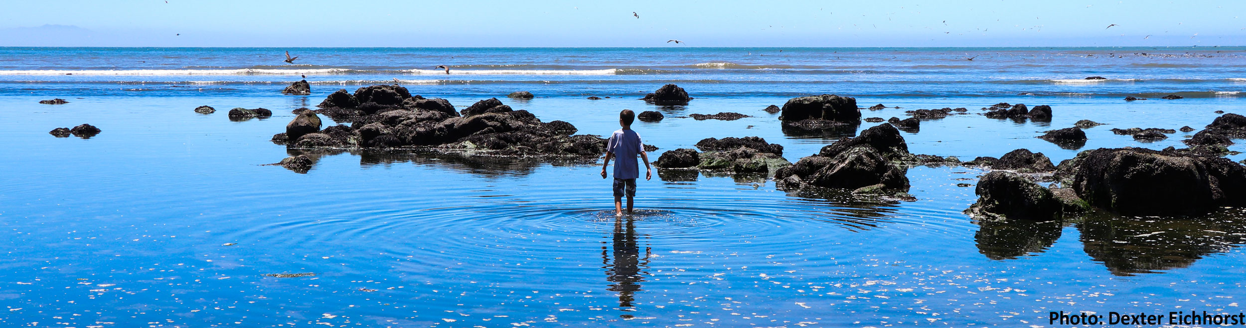 Child wading in the ocean, Photo by Dexter Eichhorst