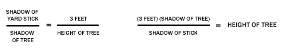 Shadow of measuring stick/Shadow tree = 3 feet/Height of tree-->Height of tree = (3 feet)(Shadow of tree)/Shadow of stick