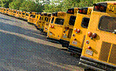 School buses