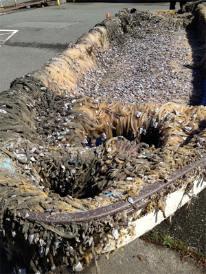 Boat confirmed as debris from Japan Tsunami, found in Crescent City in April 2013