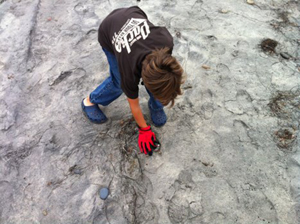 Young person cleanin up the beach