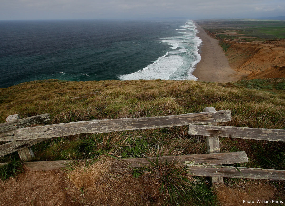 Photo from South Beach Overlook in Point Reyes, by William Harris