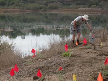 Volunteer at Upper Newport Bay