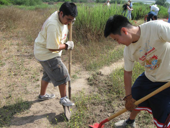 Volunteers at Upper Newport Bay