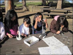 Participants in Eco-Oakland Program