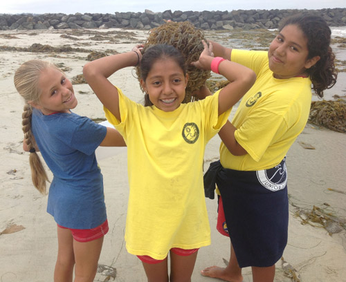 San Diego Jr. Lifeguards kelp girls