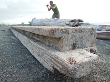 Lumber found in Del Norte County, California