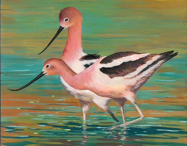 American Avocets, by Shuyang Ye, 11th Grade, Milpitas