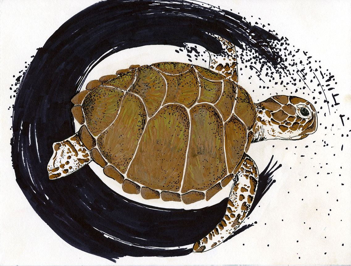 Painting of a turtle in gold, surrounded by a black swirl, by Emilee Chrisman