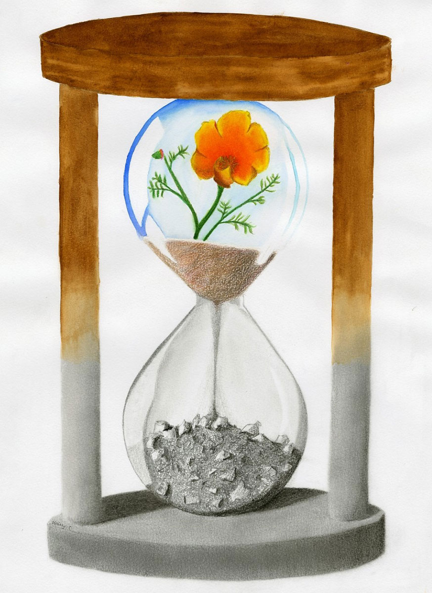 A painting of an hourglass with a vibrant California poppy growing in the top bulb, with sand flowing into a colorless pile in the bottom bulb, by Kaitlyn Chang