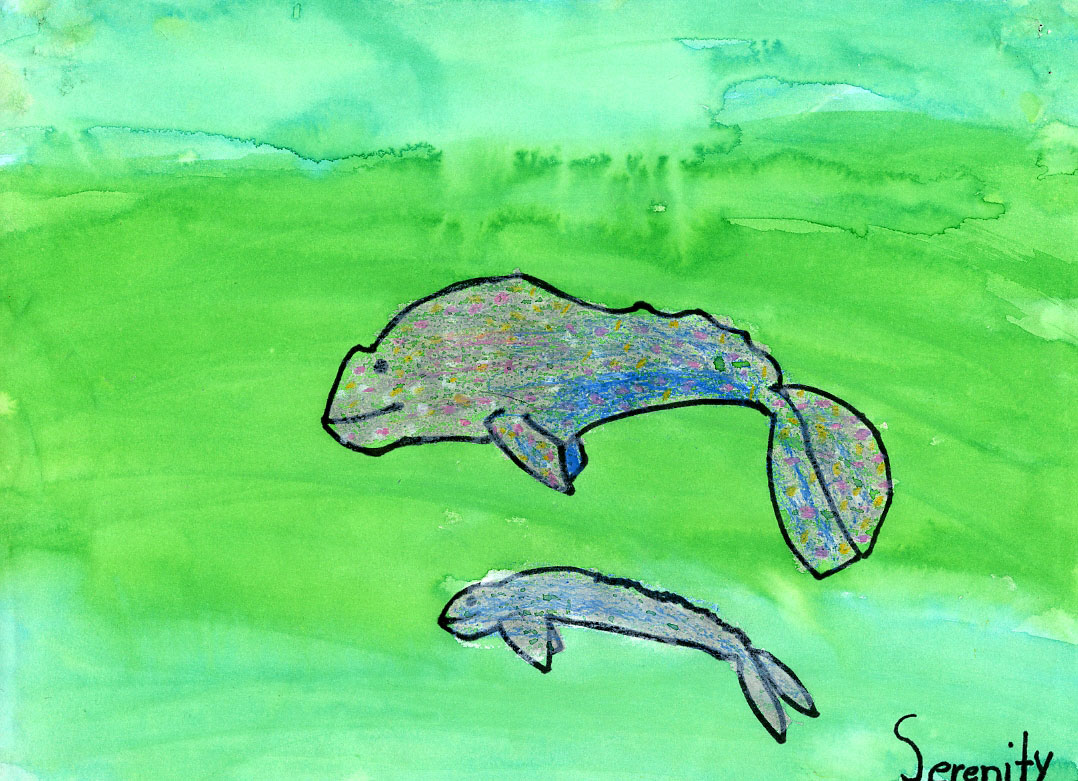 Painting of two whales, one adult and one child, by Serenity Rayne Holmes