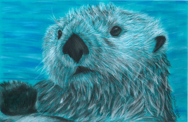 Otter Portrait