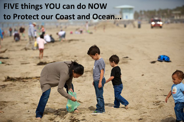 Five things you can do now to protect our coast and ocean
