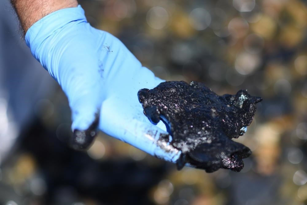 A gloved hand holds a tar ball