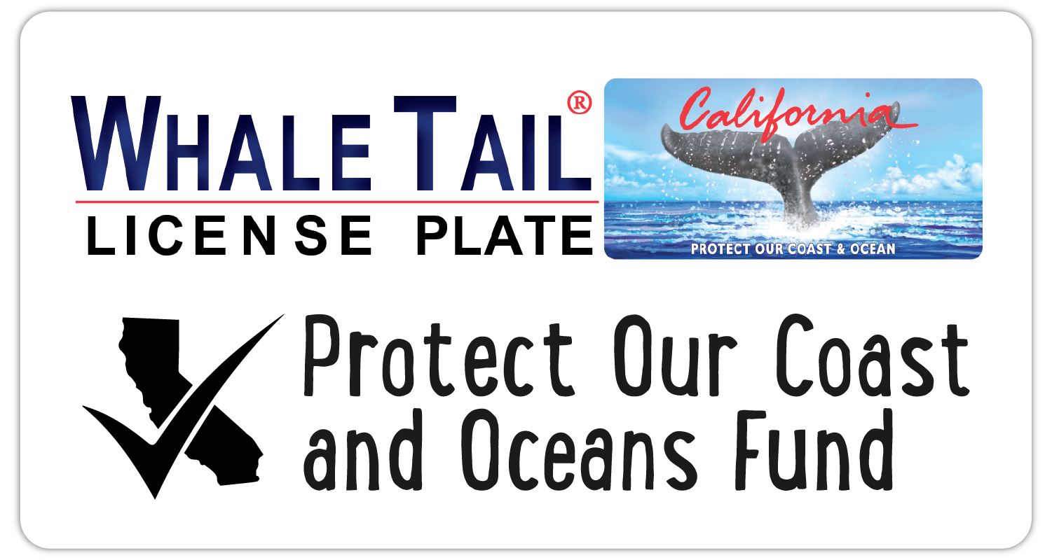 Whale Tail License Plate and Protect Our Coast and Oceans Fund logo