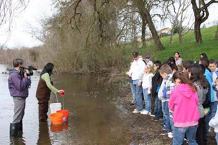 Tuolumne Salmon Fry Release