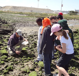 Low tide at San Francisco's Pier 94, with Golden Gate Audubon