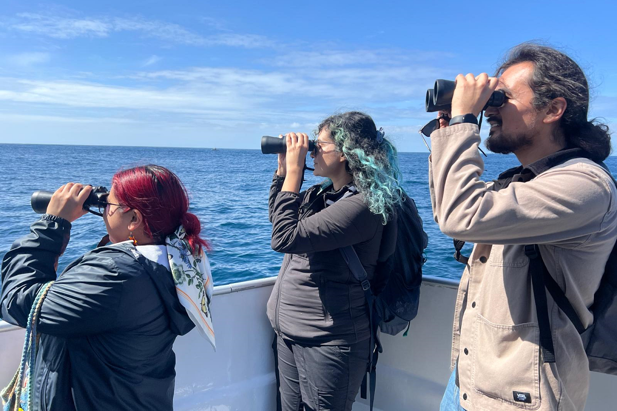 Three people hold and look through binoculars searching for marine wildlife on the ocean.