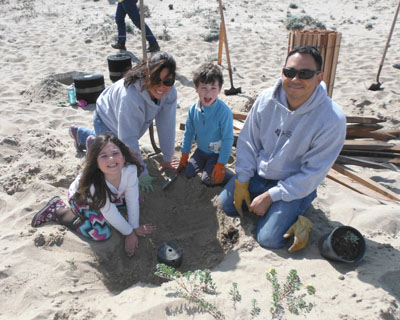 Family planting dune plants in the sand