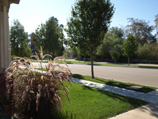 A front yard before the Ocean Friendly Gardens Program