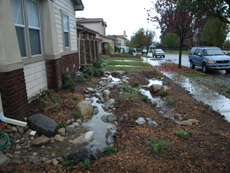 A front yard before the Ocean Friendly Gardens Program